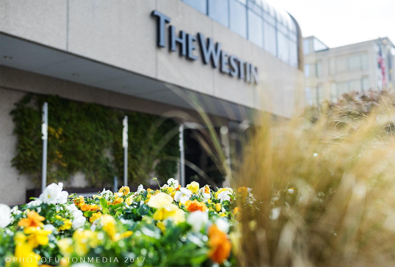 The Westin Crystal City Reagan National Airport Arlington Extérieur photo